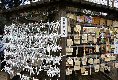 DSC20140026-s.jpg