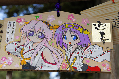 DSC20140066-s.jpg