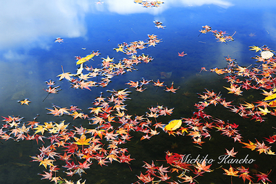 _H6C0824_2_s_2.jpg