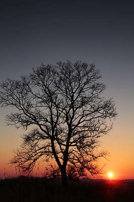 _H6C6336-s.jpg