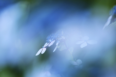 _H6C8338_2_ss.jpg