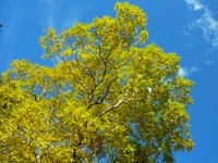 2011-10-07_1.jpg