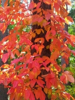 2011-10-11 -1s.jpg