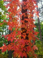 2011-10-11-2.jpg