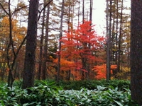 2011-10-18 - 2s.jpg