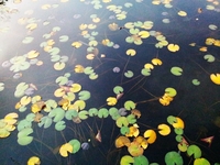 2011-10-18- 3s.jpg