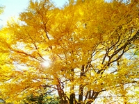 2011-10-20 −3.jpg