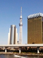 2012-04-15 -12.jpg