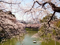 2012-04-15 -11.jpg